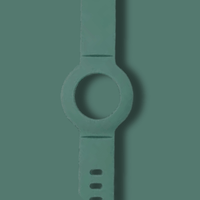 Extra Wristband