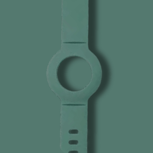 Extra Wristband