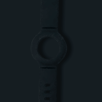 Extra Wristband