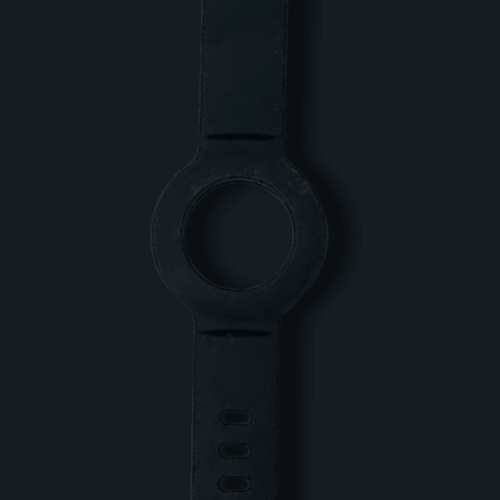 Extra Wristband