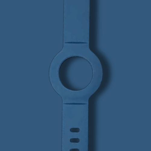 Extra Wristband