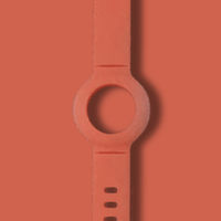 Extra Wristband